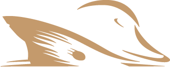 Prodigy Logo (small) - image 3