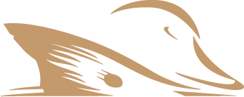 Prodigy Logo (large) - image 3