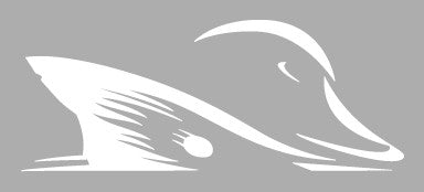 Prodigy Logo (large) - image 2