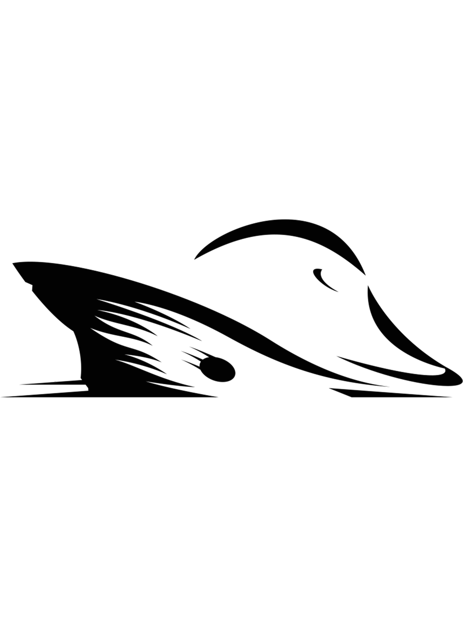 Logo Decal