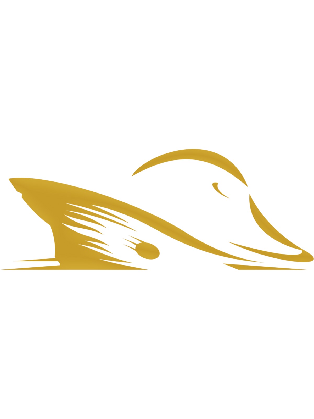 Logo Decal