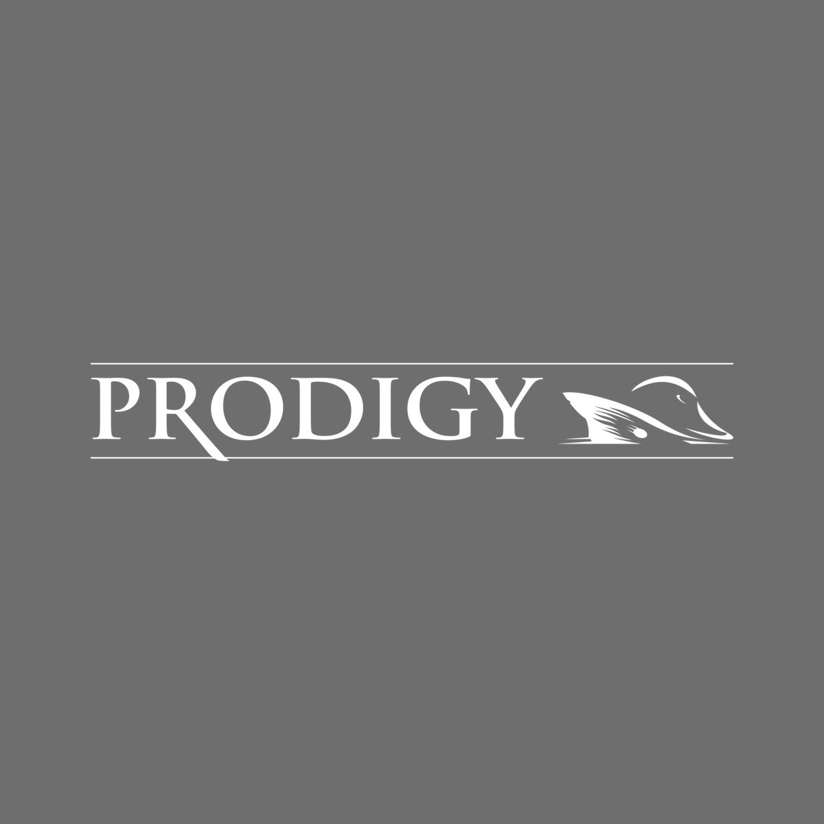 Long Wordmark Decal